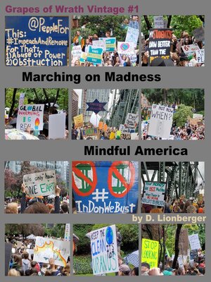 cover image of Marching On Madness, Mindful America